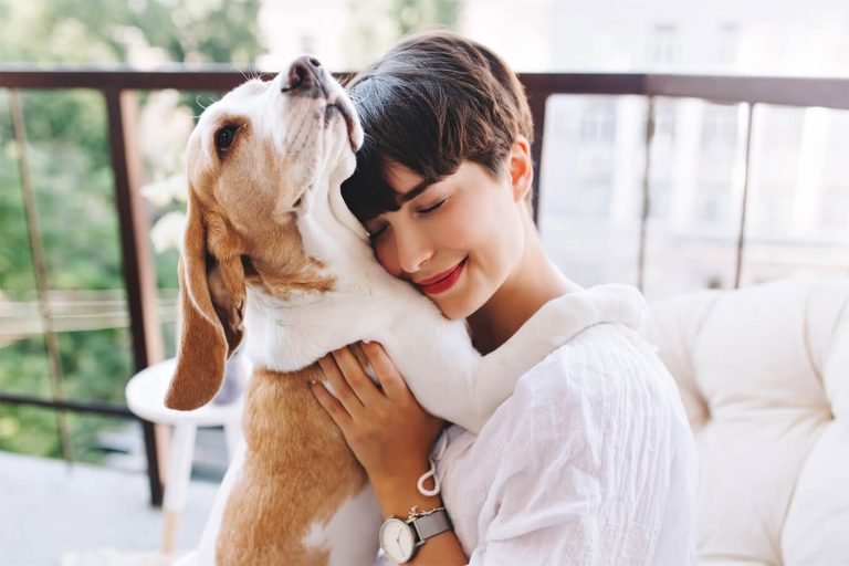 Close Up Portrait Pleased Girl With Short Brown Hair Embracing Funny Beagle Dog With Eyes Closed 197531 4842.jpg